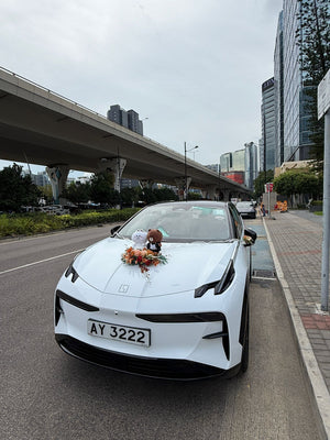 Zeekr X 婚禮結婚出門花車