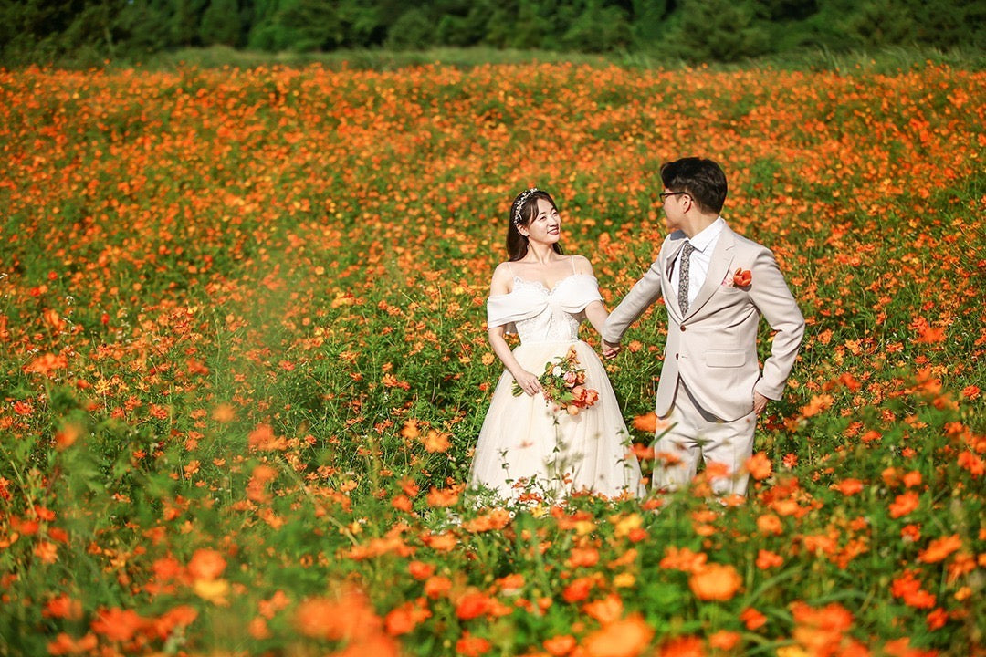 韓國婚紗攝影，濟州婚紗攝影，韓國婚紗攝影推介，韓國婚紗攝影推薦，韓國婚紗攝影套餐，韓國婚紗攝影價錢，濟州婚紗攝影推介，濟州婚紗攝影推薦，濟州婚紗攝影價錢，濟州婚紗攝影套餐，濟州婚紗照，濟州婚紗照推介，濟州婚紗照推薦，濟州婚紗照套餐，濟州婚紗照價錢