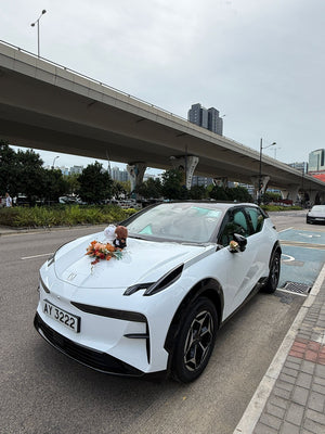Zeekr X 婚禮結婚出門花車