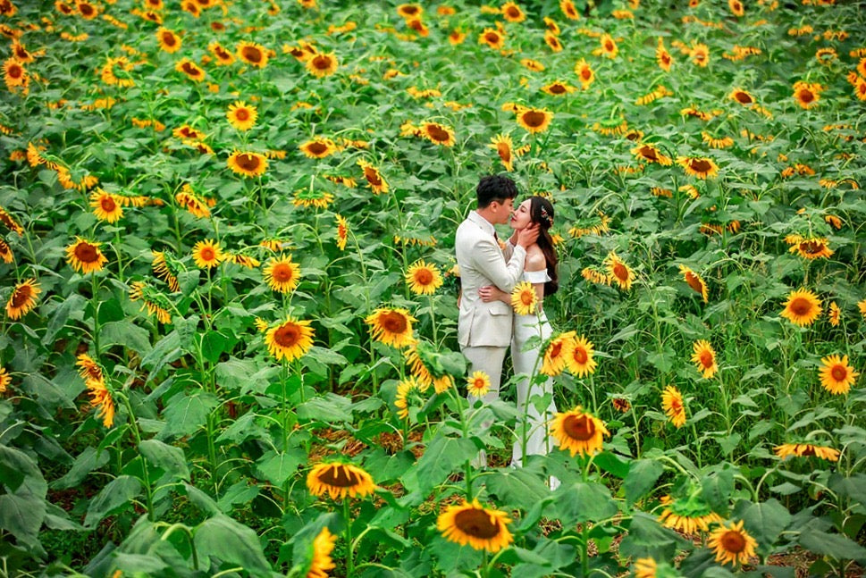 韓國婚紗攝影，濟州婚紗攝影，韓國婚紗攝影推介，韓國婚紗攝影推薦，韓國婚紗攝影套餐，韓國婚紗攝影價錢，濟州婚紗攝影推介，濟州婚紗攝影推薦，濟州婚紗攝影價錢，濟州婚紗攝影套餐，濟州婚紗照，濟州婚紗照推介，濟州婚紗照推薦，濟州婚紗照套餐，濟州婚紗照價錢