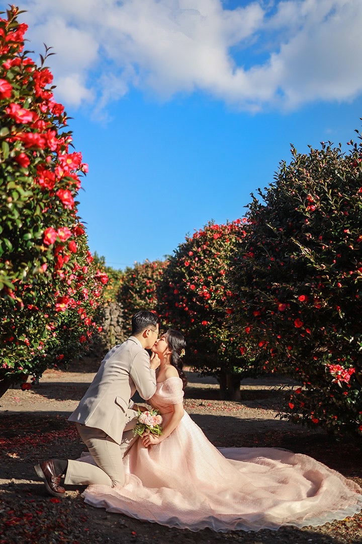 韓國婚紗攝影，濟州婚紗攝影，韓國婚紗攝影推介，韓國婚紗攝影推薦，韓國婚紗攝影套餐，韓國婚紗攝影價錢，濟州婚紗攝影推介，濟州婚紗攝影推薦，濟州婚紗攝影價錢，濟州婚紗攝影套餐，濟州婚紗照，濟州婚紗照推介，濟州婚紗照推薦，濟州婚紗照套餐，濟州婚紗照價錢