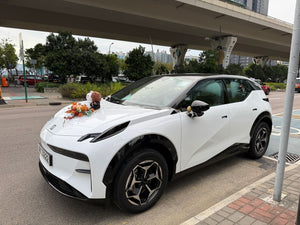 Zeekr X 婚禮結婚出門花車