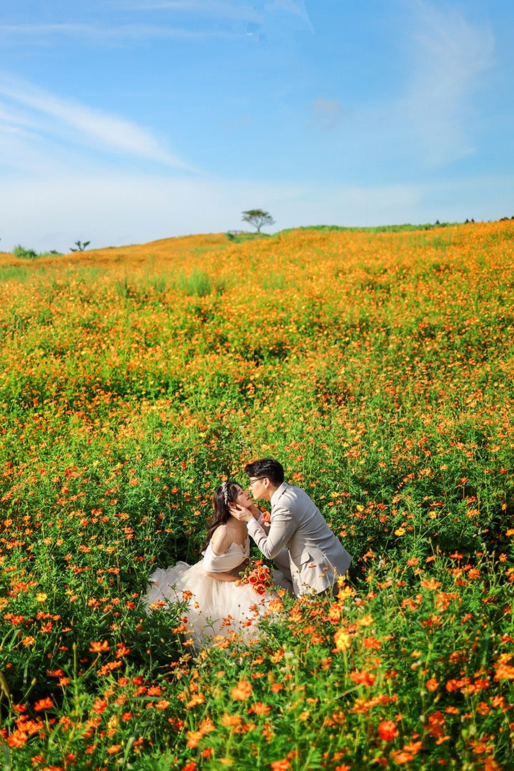 韓國婚紗攝影，濟州婚紗攝影，韓國婚紗攝影推介，韓國婚紗攝影推薦，韓國婚紗攝影套餐，韓國婚紗攝影價錢，濟州婚紗攝影推介，濟州婚紗攝影推薦，濟州婚紗攝影價錢，濟州婚紗攝影套餐，濟州婚紗照，濟州婚紗照推介，濟州婚紗照推薦，濟州婚紗照套餐，濟州婚紗照價錢