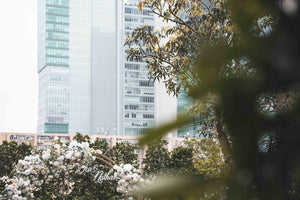 婚禮攝影錄影，Big day攝影錄影，婚禮攝影推介，婚禮攝影套餐，婚禮攝影錄影套餐，婚禮攝影錄影價錢，婚攝推介，婚攝價錢，婚禮攝影師，1P1V套餐，2P1V套餐，2P2V套餐，1P1V價錢，2P1V價錢，2P2V價錢，婚禮攝影錄影推薦，婚禮攝影錄影推介，1P1V推介，早拍晚播，成長片段，婚禮外影，Big day外影，姐妹團攝影，兄弟團攝影