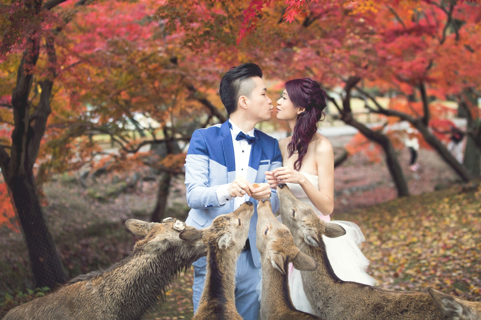 日本prewedding，日本prewedding推薦，日本婚紗攝影，日本婚紗攝影價錢，日本婚紗拍攝，日本婚紗攝影推薦，日本婚紗照，oversea prewedding，oversea prewedding 推薦，overseas prewedding，overseas prewedding photoshoot，overseas pre-wedding photography packages，overseas prewedding 推薦，overseas pre wedding 婚紗，overseas prewedding 價錢，prewedding shoot overseas