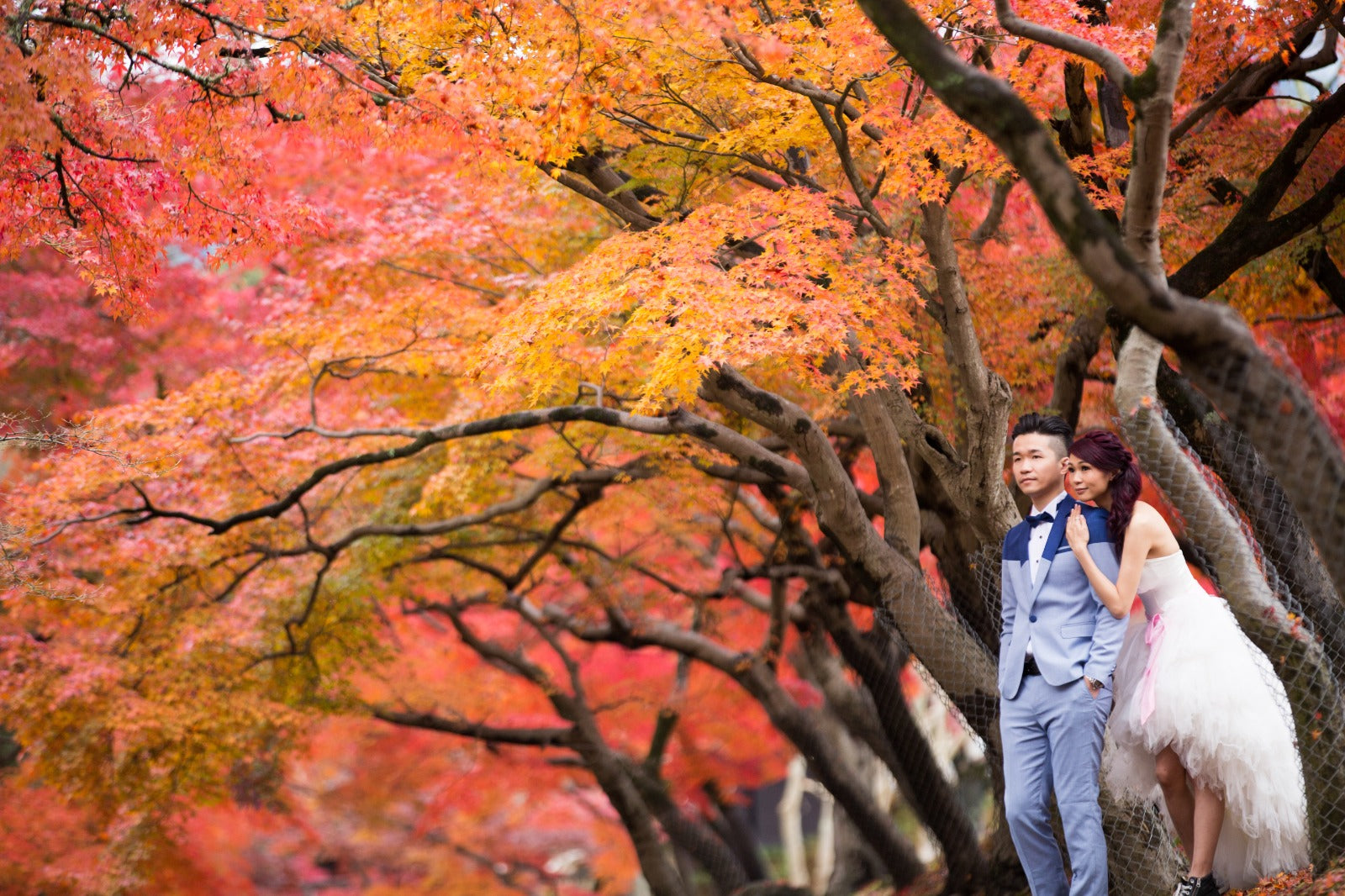 日本prewedding，日本prewedding推薦，日本婚紗攝影，日本婚紗攝影價錢，日本婚紗拍攝，日本婚紗攝影推薦，日本婚紗照，oversea prewedding，oversea prewedding 推薦，overseas prewedding，overseas prewedding photoshoot，overseas pre-wedding photography packages，overseas prewedding 推薦，overseas pre wedding 婚紗，overseas prewedding 價錢，prewedding shoot overseas