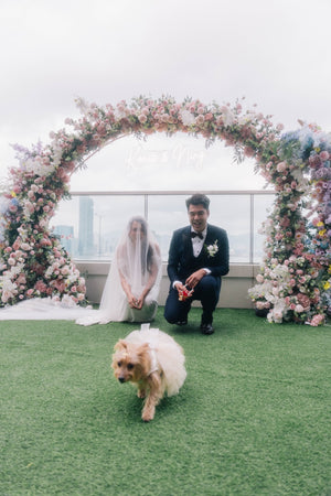 婚禮攝影錄影，Big day攝影錄影，婚禮攝影推介，婚禮攝影套餐，婚禮攝影錄影套餐，婚禮攝影錄影價錢，婚攝推介，婚攝價錢，婚禮攝影師，1P1V套餐，2P1V套餐，2P2V套餐，1P1V價錢，2P1V價錢，2P2V價錢，婚禮攝影錄影推薦，婚禮攝影錄影推介，1P1V推介，早拍晚播，成長片段，婚禮外影，Big day外影，姐妹團攝影，兄弟團攝影
