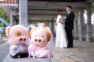 婚禮攝影錄影，Big day攝影錄影，婚禮攝影推介，婚禮攝影套餐，婚禮攝影錄影套餐，婚禮攝影錄影價錢，婚攝推介，婚攝價錢，婚禮攝影師，1P1V套餐，2P1V套餐，2P2V套餐，1P1V價錢，2P1V價錢，2P2V價錢，婚禮攝影錄影推薦，婚禮攝影錄影推介，1P1V推介，早拍晚播，成長片段，婚禮外影，Big day外影，姐妹團攝影，兄弟團攝影