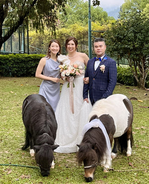 Big Day Wedding Planner, Big Day MC, 香港婚禮統籌, 香港婚禮司儀，香港一站式婚禮統籌2024，香港一站式婚禮司儀，香港婚禮統籌及婚禮司儀全日服務，Hong Kong Wedding Planner and MC full day, Hong Kong Wedding Planner 2024, Hong Kong Wedding MC 2024, Hong Kong Big Day MC 2024