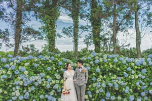 韓國婚紗攝影，濟州婚紗攝影，韓國婚紗攝影推介，韓國婚紗攝影推薦，韓國婚紗攝影套餐，韓國婚紗攝影價錢，濟州婚紗攝影推介，濟州婚紗攝影推薦，濟州婚紗攝影價錢，濟州婚紗攝影套餐，濟州婚紗照，濟州婚紗照推介，濟州婚紗照推薦，濟州婚紗照套餐，濟州婚紗照價錢